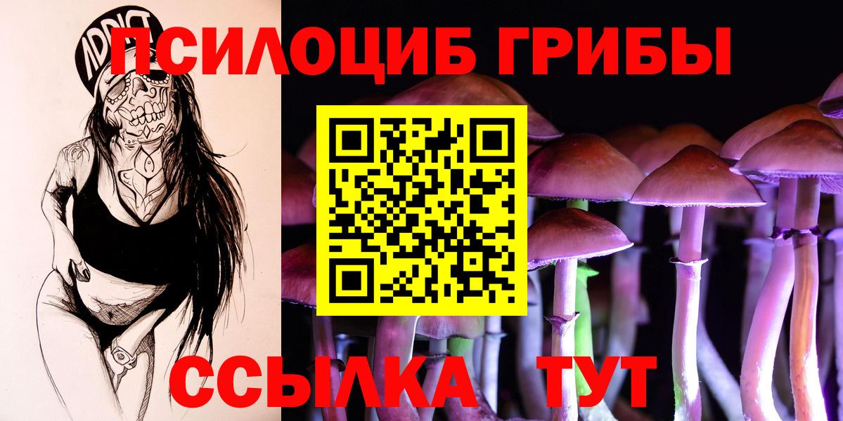 Каменск-Уральский  Галлюциногенные грибы ЛСД  Вход с VPN 